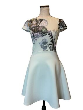 Ted Baker London Faythe Mint Floral Skater Dress Size 1 Fit Flare